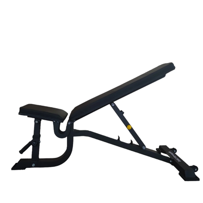 Adjustable Training Bench