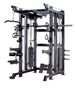 Racks, Cages, Rigs, and Gym Systems